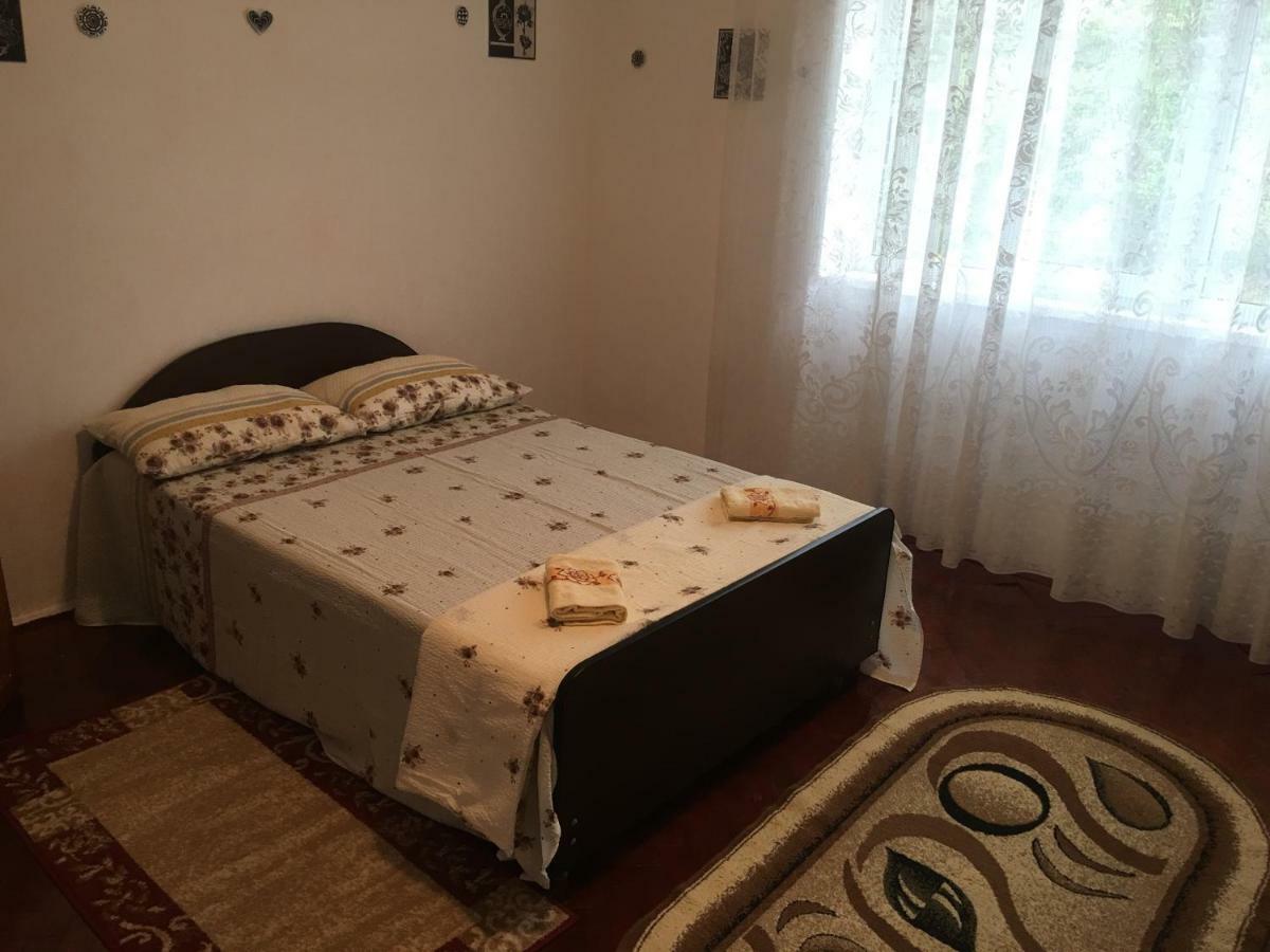 Vila La Izvorul Putinei ฮาเซก ภายนอก รูปภาพ